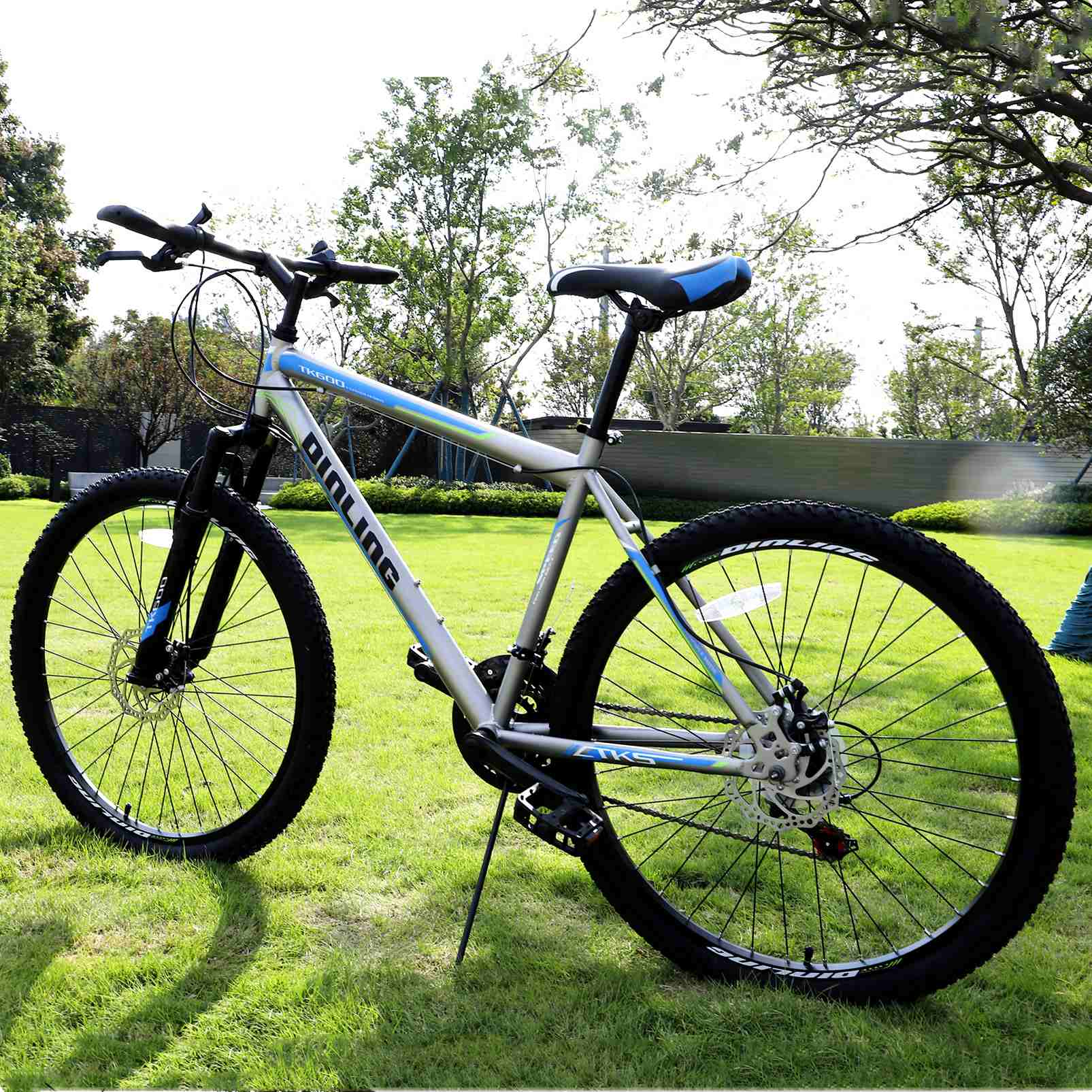 Adult Mountain Bike 26in Wheels Shimano 21 Speed Drivetrain, All-Terrain  Bicycle, with Double Disc Brake for Boy Friends/Girl Friends/Lovers/Couples  